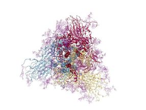 A breakthrough in understanding COVID-19 proteins