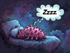 Un virus que mata a los durmientes