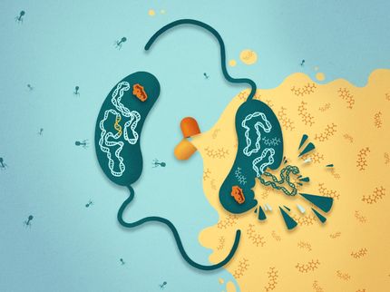 Los antibióticos atacan la inmunidad bacteriana