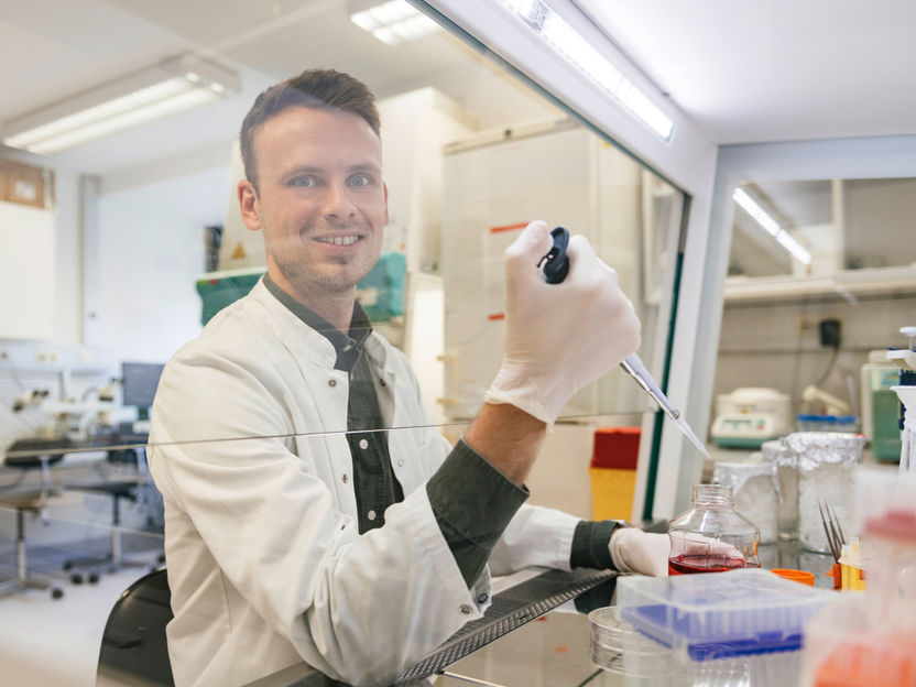 Protein SATB2 entscheidet über Intelligenz - Fehlt das Protein, gerät die für kognitive Leistungen notwendige Ordnung in der Erbsubstanz durcheinander