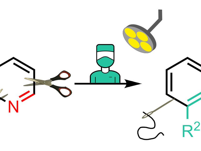 Síntesis química: nueva estrategia de edición esquelética en piridinas - Químicos realizan "cirugía química" en compuestos con forma de anillo