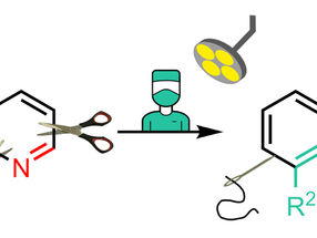 Chemical synthesis: new strategy for skeletal editing on pyridines