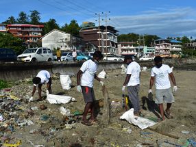 Veganz & Clean-Hub Partner Green Worms Waste Management sammelt Plastikmüll am Indischen Ozean ein