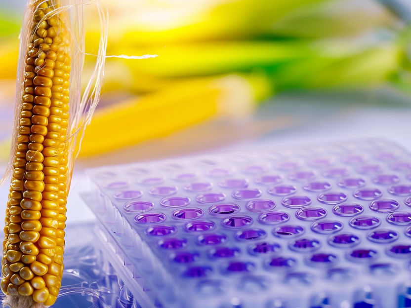 Start-up offers a sustainable alternative for one of the most commonly used disposable products in labs - Green Elephant Biotech brings sustainability into the lab