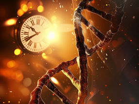 Time travel through genomics