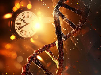 Zeitreise durch die Genomik