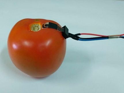Electrochemical sensors can combine affordability, rapid detection and in situ pesticide detection