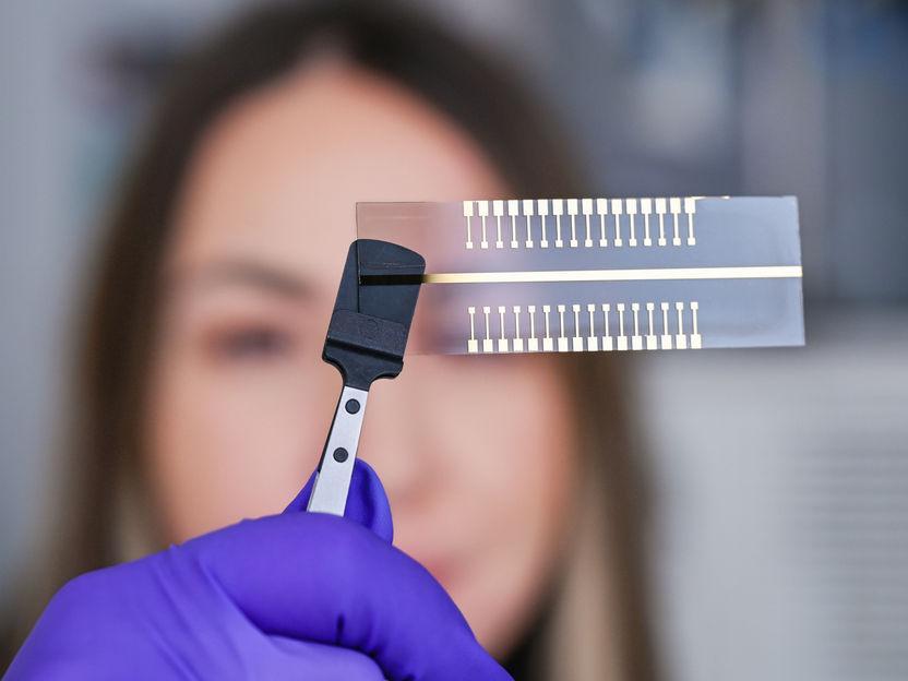 New approach for fast and cost-effective pathogen detection - Palm-sized test system that can simultaneously carry out up to thirty-two analyses of one sample