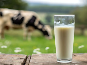 Bacterial test for raw, organic milk may require more precision