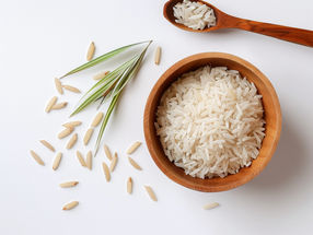 Africa could grow more rice
