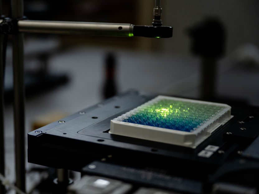 Nuevos nanosensores hacen más sensibles los procedimientos de diagnóstico - Los nanosensores pueden utilizarse para seguir reacciones con luz invisible, ahorrando materiales y tiempo