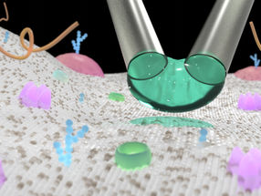 µkiss-and-tell : une nouvelle méthode pour délivrer avec précision des nanoparticules et des petites molécules à des cellules individuelles