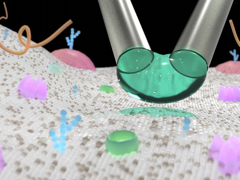 Μkiss-and-tell: A new method for precision delivery of nanoparticles and small molecules to individual cells - "Like a paintbrush", easy and cost-effective to use
