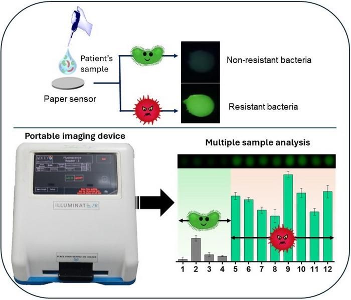 Rapid detection of antibiotic-resistant bacteria