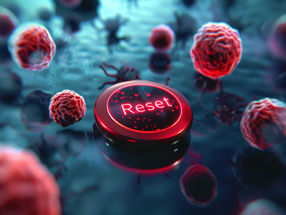 Revolutionary cell therapy: rebooting the immune system stops autoimmune diseases