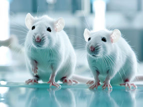 Using metabolomics for assessing safety of chemicals may reduce the use of lab rats
