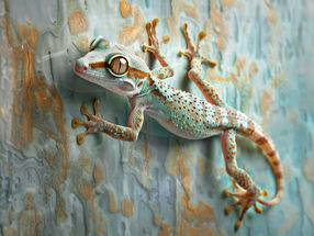 Vom Gecko inspiriert: Bessere Haftungseigenschaften von Kunststoffen durch kombinierte Mikro- und Nanostrukturen