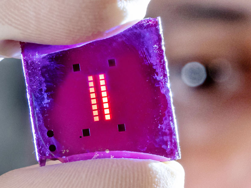 Optische Schaltkreise auf Polymerbasis - Interdisziplinäres Forschungsteam entwickelt Meta-Oberfläche, die mit Licht geschaltet werden kann