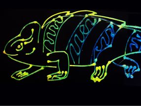 Los camaleones inspiran una nueva tecnología de impresión 3D multicolor