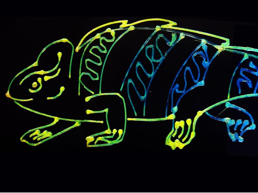 Los camaleones inspiran una nueva tecnología de impresión 3D multicolor - Investigadores desarrollan una técnica sostenible para imprimir en 3D múltiples colores dinámicos a partir de una sola tinta