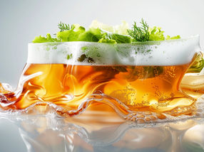 Matériaux biodégradables - Emballés dans de la bière