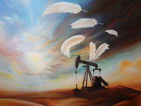 Las plumas sustituyen al petróleo