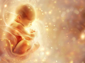 Étude révolutionnaire : pour la première fois, des "mini-organes" sont créés à partir de liquide amniotique