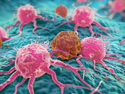 Hijacking: tumour cells reprogramme the immune system