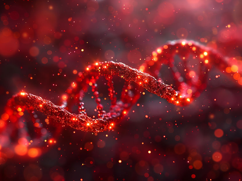 Forscherinnen entwickeln künstliche Bausteine des Lebens - Erstmals künstliche Nukleotide, die Bausteine der DNA, mit mehreren zusätzlichen Eigenschaften im Labor hergestellt