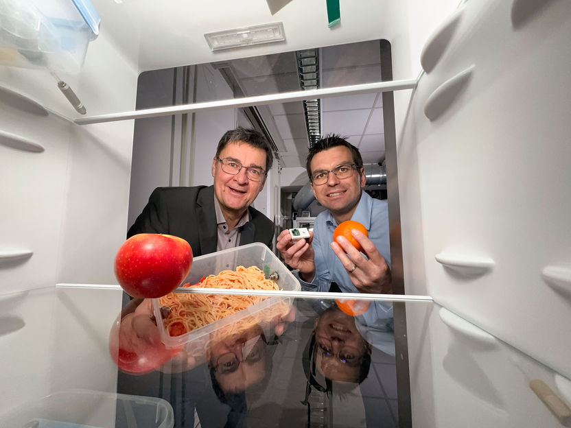 Storage boxes should smell spoiled food - Using artificial senses to combat food waste