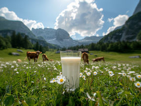 Hay milk is an agricultural world heritage site