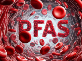 PFAS in blood are ubiquitous – and they are associated with an increased risk of cardiovascular diseases
