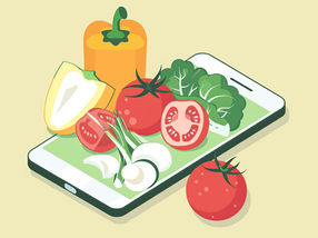 Webseiten und Apps für Foodsharing wenig benutzerfreundlich