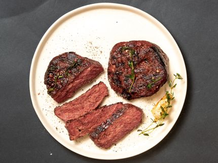 Planted bringt das erste fermentierte Steak seiner Art auf den Markt und baut Produktion aus