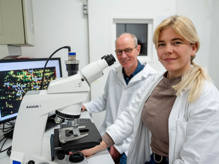 Antibióticos: mismo objetivo, distintos efectos - Nuevos agentes antimicrobianos con gran potencial