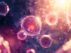 ActiTrexx trata al primer paciente con una nueva terapia de células T reguladoras contra la enfermedad de injerto contra huésped