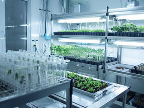 Leibniz Institute for Food Systems Biology at the Technical University of Munich is involved in new Leibniz Labs