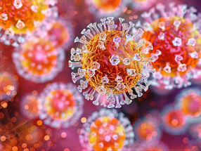 Hepatitis-C-Virus-Infektion: Unerwartete provirale Funktion des Guanylat-bindenden Proteins 1 (GBP1) entdeckt
