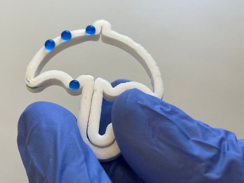 Celulosa aireada de una impresora 3D - Muchas aplicaciones potenciales en medicina