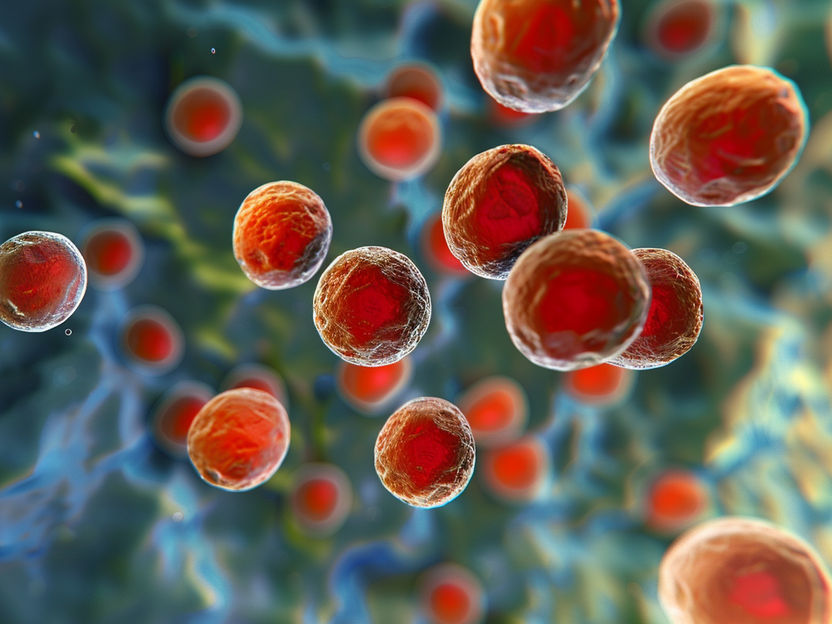 Bringing Multidrug-Resistant Pathogens to their Knees - Fluorous lipopetides act as highly effective antibiotics