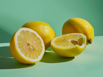 Entschlüsselung der Stresstoleranz gegenüber Alkalität bei Zitrusfrüchten