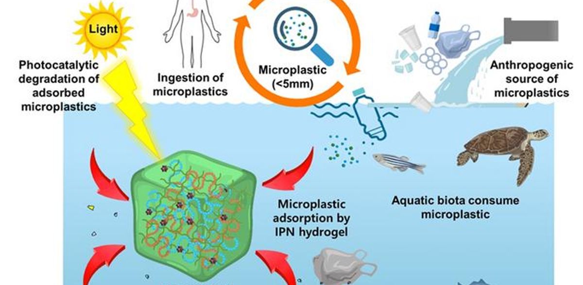 Un nuevo hidrogel elimina los microplásticos del agua