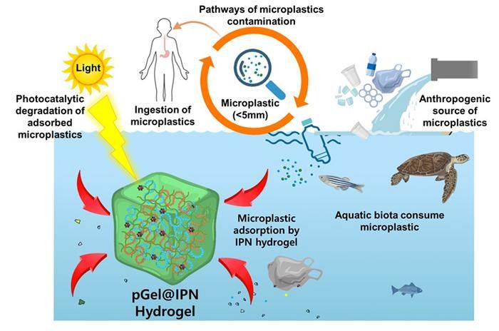 Neuartiges Hydrogel entfernt Mikroplastik aus dem Wasser - Das Material verfügt über ein einzigartiges verflochtenes Polymernetzwerk, das die Schadstoffe binden und durch UV-Lichtbestrahlung abbauen kann