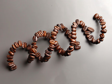 Neu sequenziertes Genom enthüllt die prähistorische Entstehungsgeschichte des Kaffees - und seine Zukunft im Klimawandel