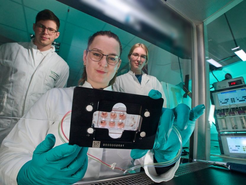 Neue Chance für die Krebstherapie: Miniatur-Labor erlaubt Einblicke in das Entstehen von Metastasen - Gemeinsam mit Partnern entwickelt Fraunhofer IWS mikrophysiologische Systeme, in denen sich Tumor-Gewebeschnitte kultivieren lassen