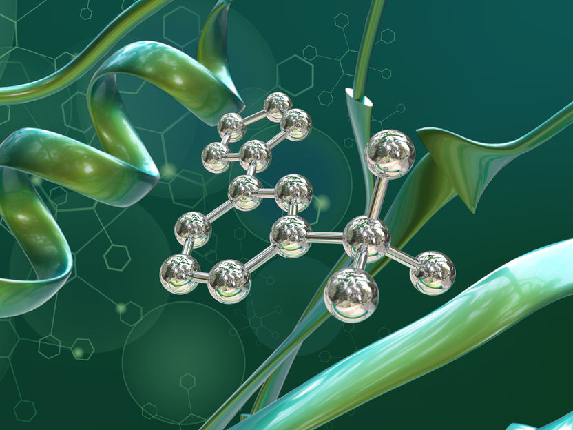 KI entwirft neue Medikamente anhand von Proteinstrukturen - «Es ist ein echter Durchbruch für die Wirkstoffforschung»: Verfahren stellt von Anfang an sicher, dass die Moleküle auch chemisch synthetisierbar sind