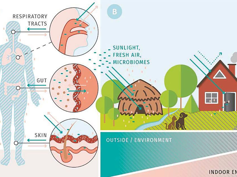 Wie Gebäude das Mikrobiom und damit die menschliche Gesundheit beeinflussen - Völlig neue Dimension der Mikrobiomforschung: Auswirkungen der Beschaffenheit von modernen Gebäuden auf die Mikrobenbesiedlung