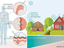 How buildings influence the microbiome and thus human health
