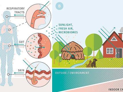 Wie Gebäude das Mikrobiom und damit die menschliche Gesundheit beeinflussen