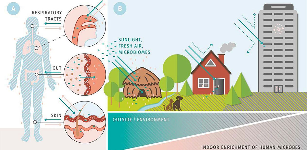 How buildings influence the microbiome and thus human health